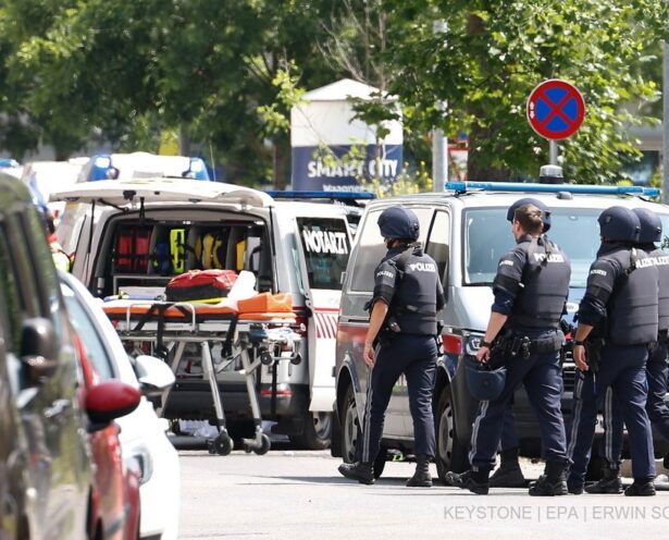 Polica austriake, policia, austri,