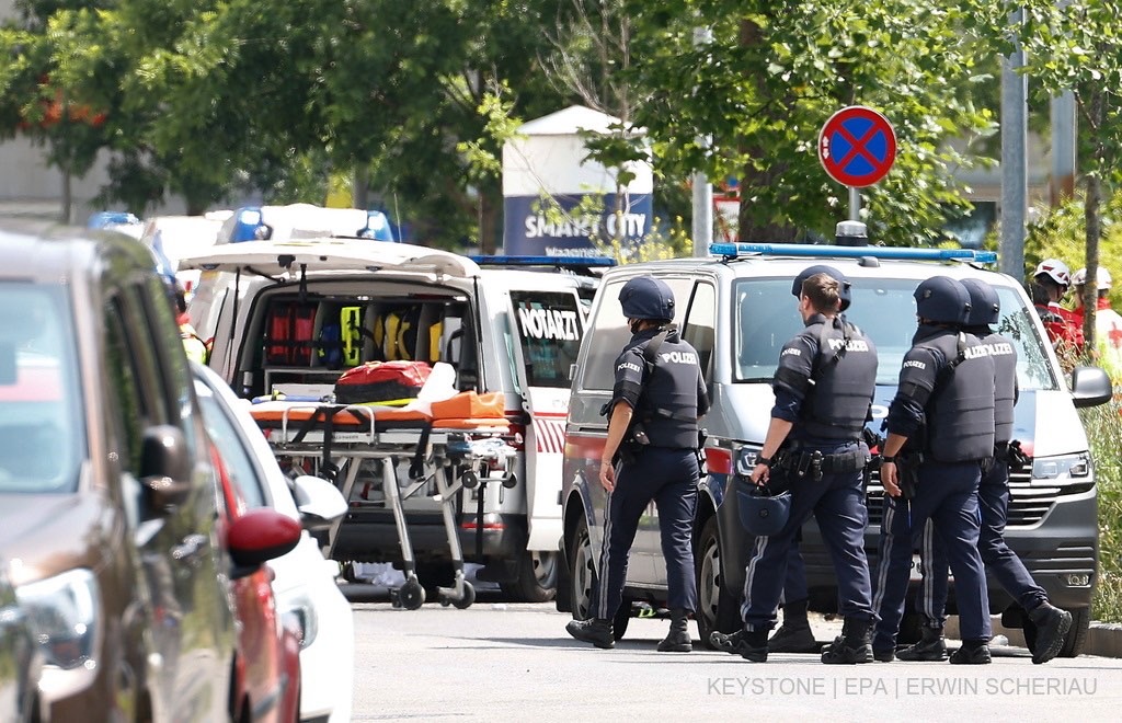 Polica austriake, policia, austri,